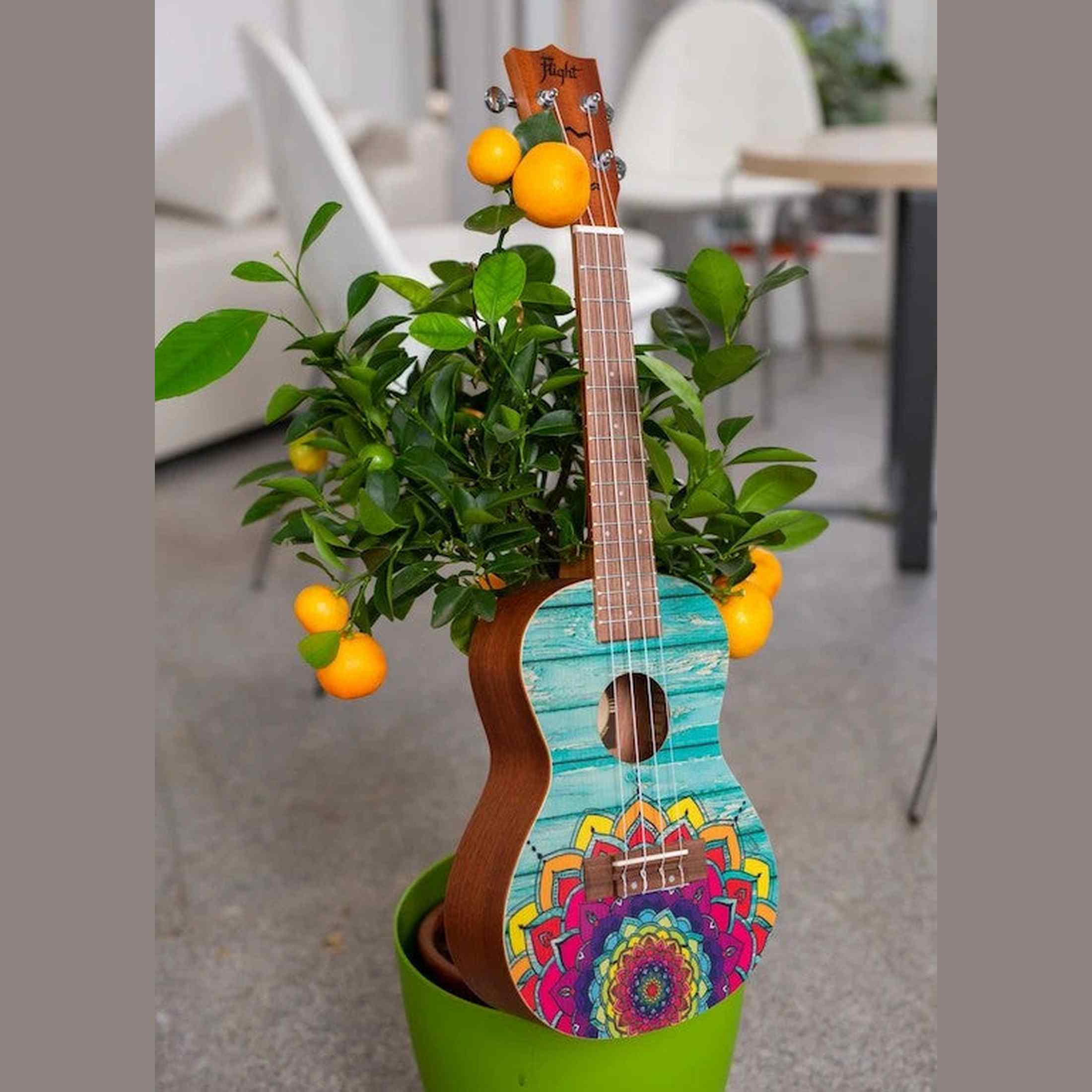Flight AUC-33 Mansion Concert Ukulele met Spruce Top, Sapele Body en Aquila Nylgut Snaren