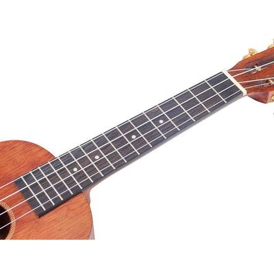 Mahalo MJ2VTTBR Java Series Concert Ukulele Transparant Bruin