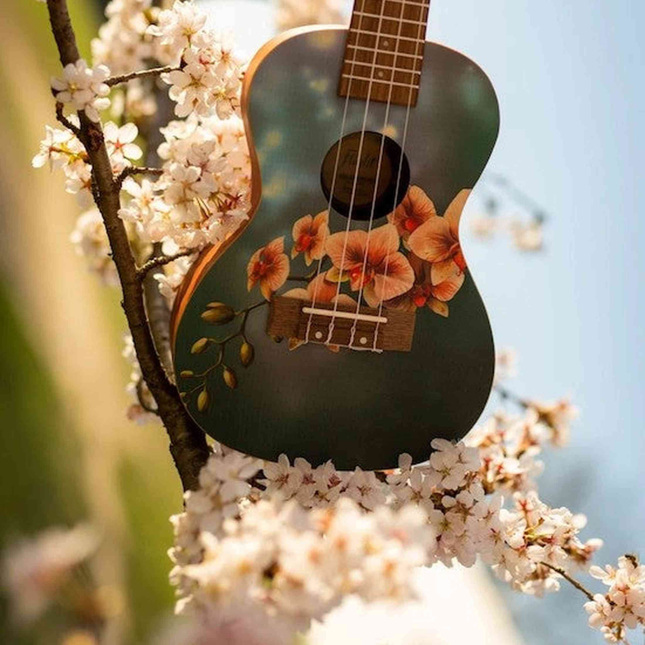 Flight AUC-33 Orchid Concert Ukulele met Spruce Top, Sapele Body en Aquila Nylgut Snaren