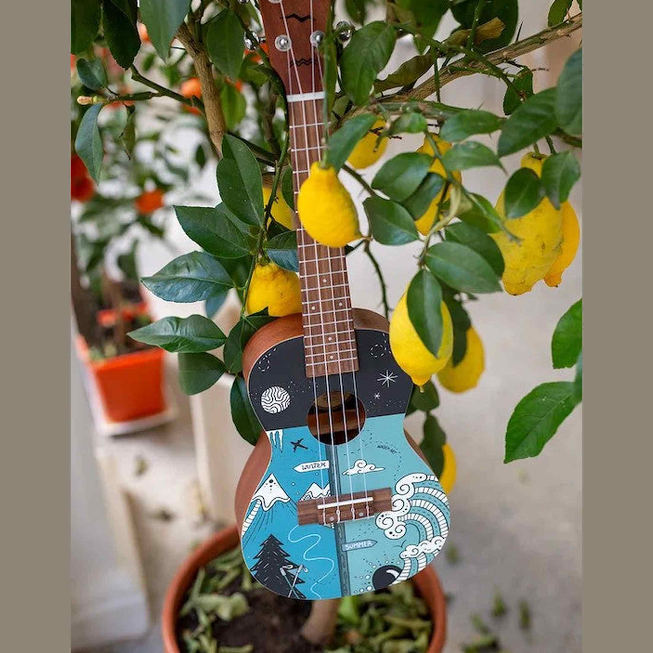 Flight AUC-33 Two Seasons Concert Ukulele met Spruce Top, Sapele Body en Aquila Nylgut Snaren